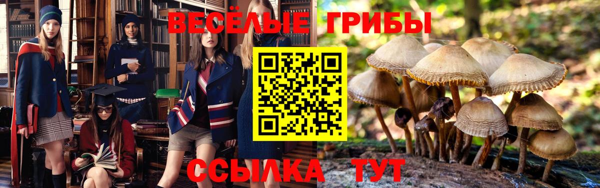Псилоцибиновые грибы GOLDEN TEACHER  Вход с VPN  Томск 